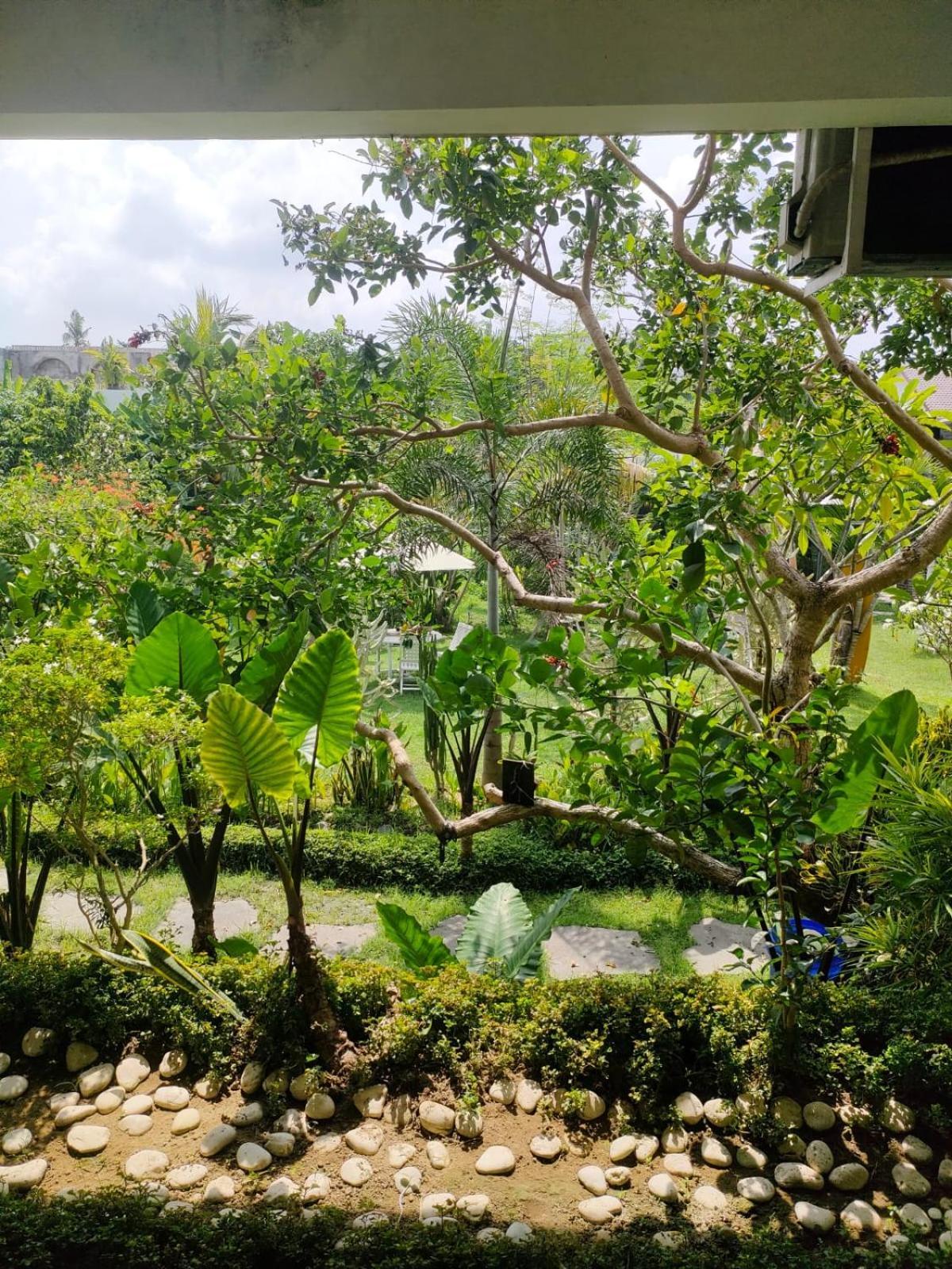 Villa Lotus 8 Canggu Exterior foto