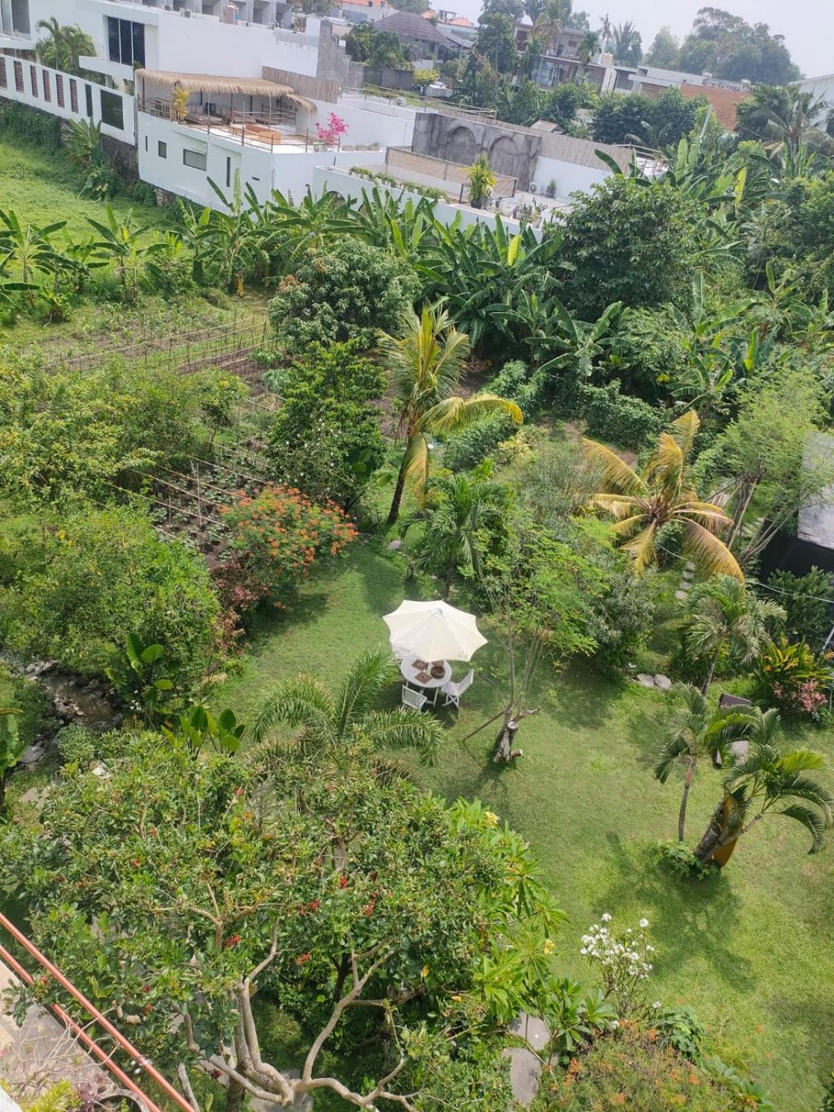 Villa Lotus 8 Canggu Exterior foto