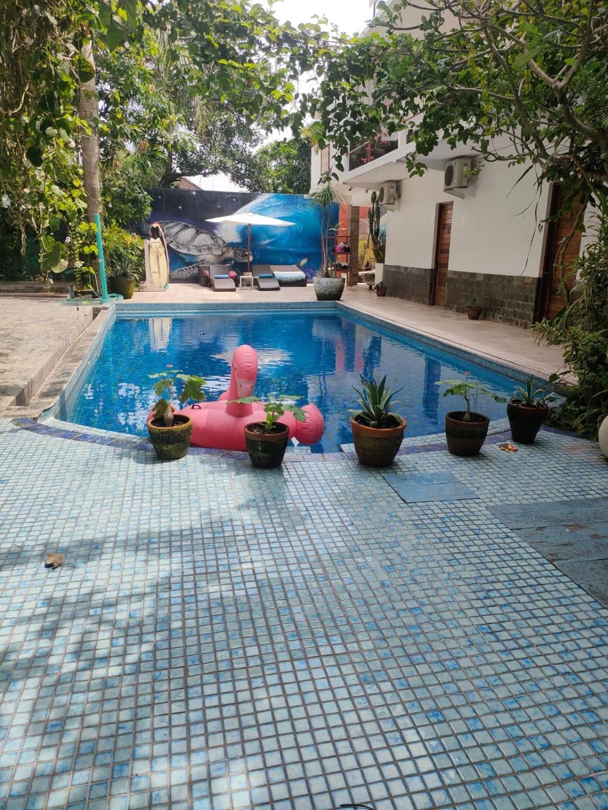 Villa Lotus 8 Canggu Exterior foto