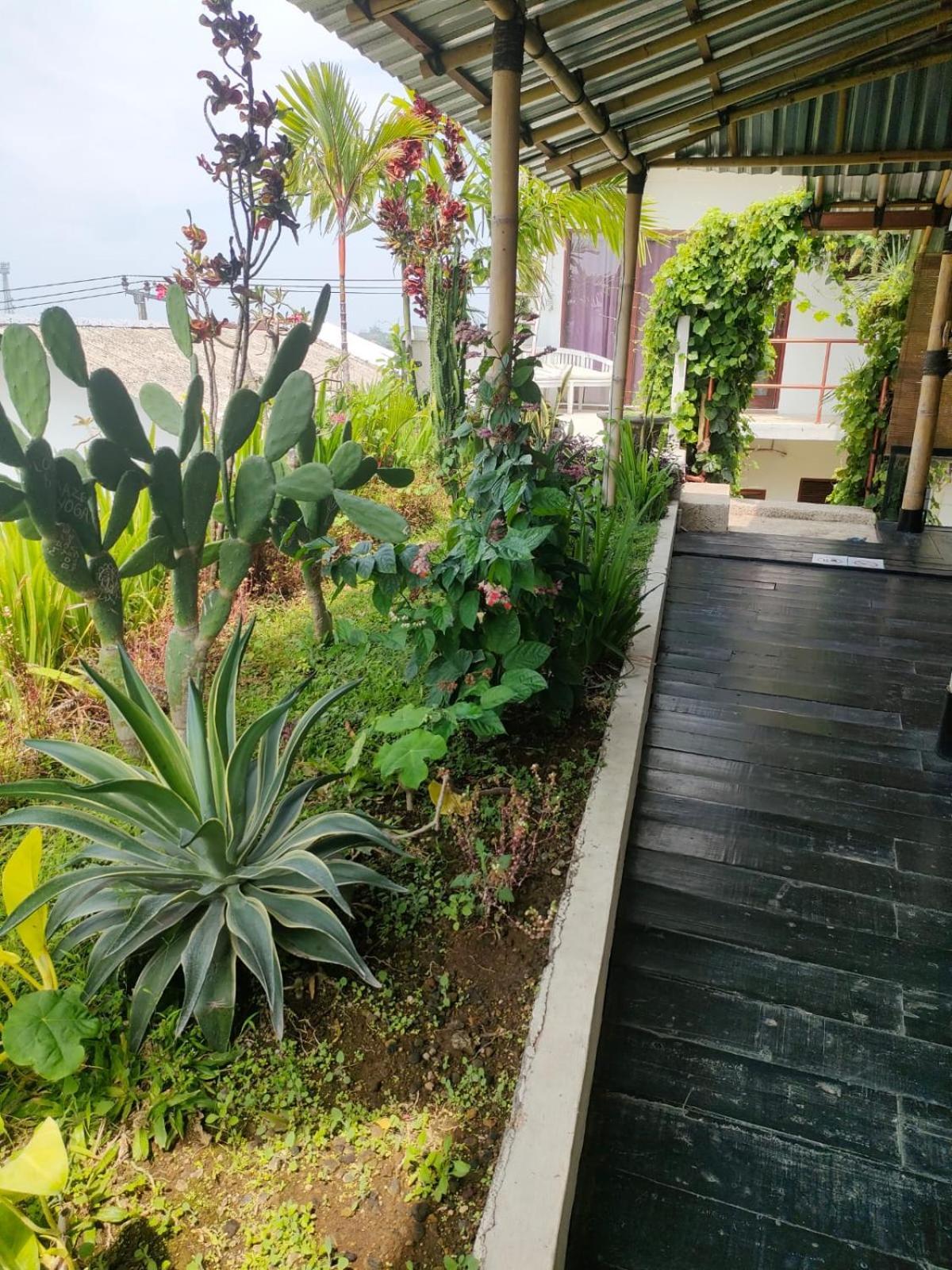 Villa Lotus 8 Canggu Exterior foto