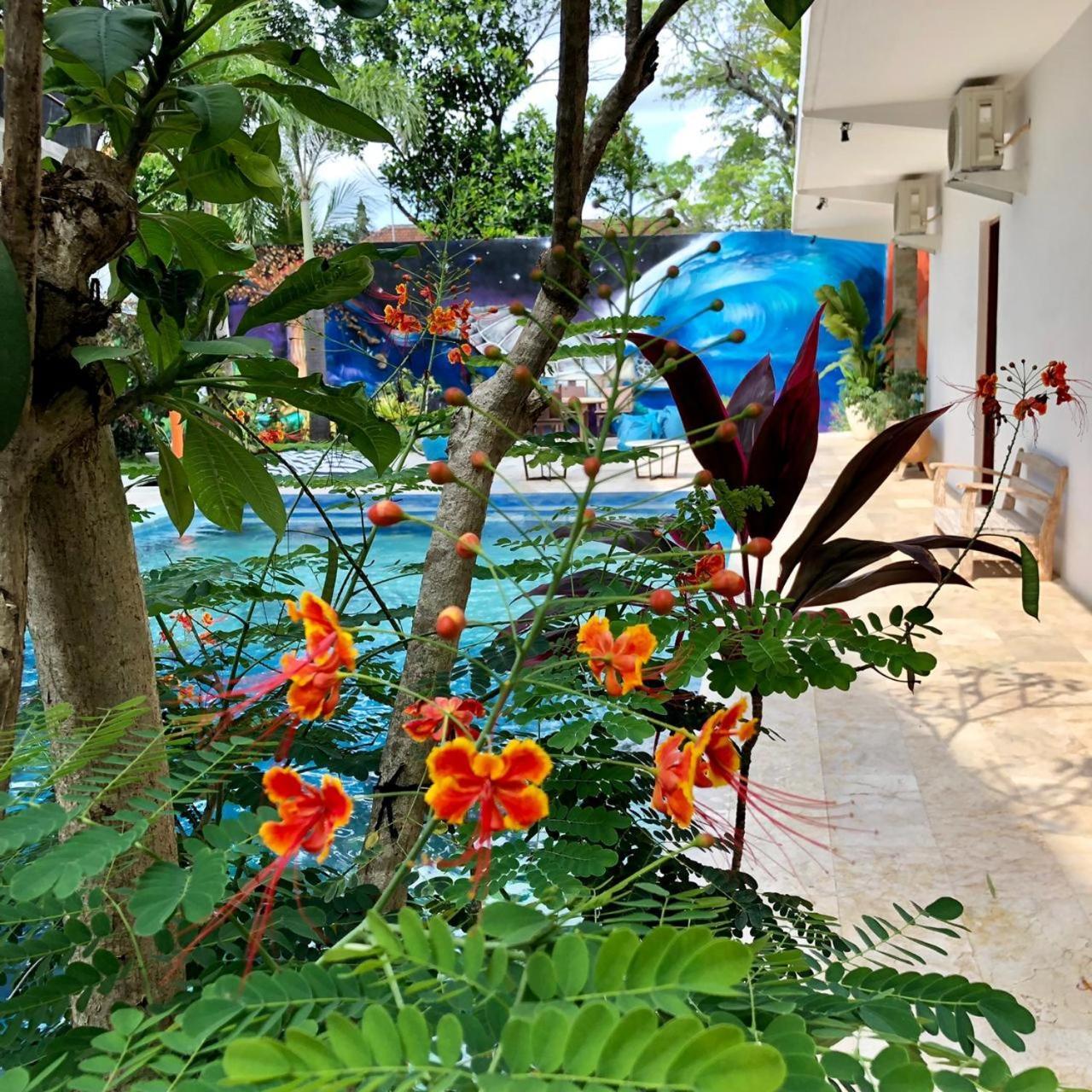 Villa Lotus 8 Canggu Exterior foto